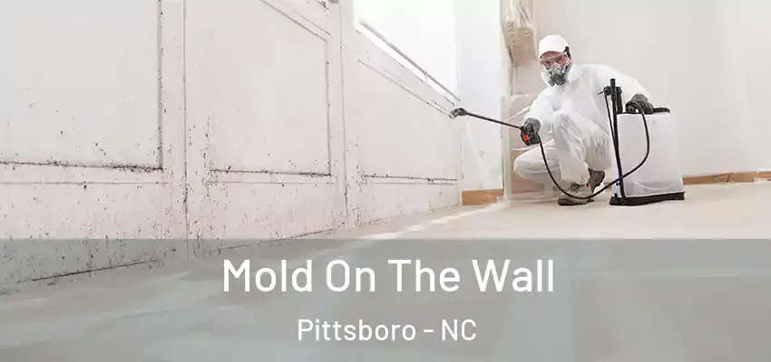  Mold On The Wall Pittsboro - NC