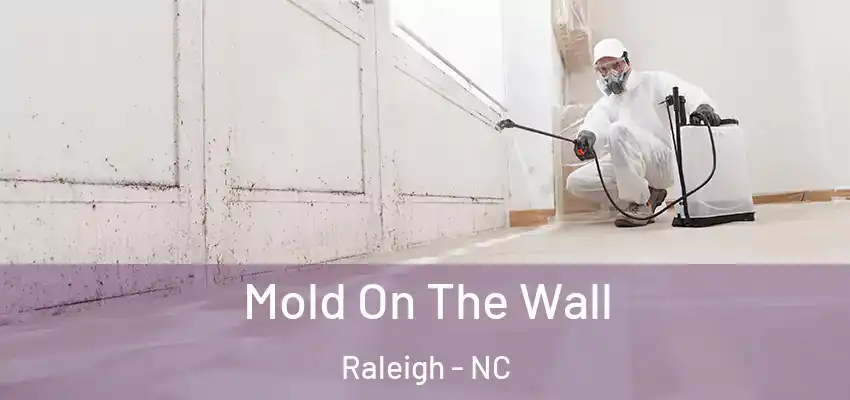 Mold On The Wall Raleigh - NC