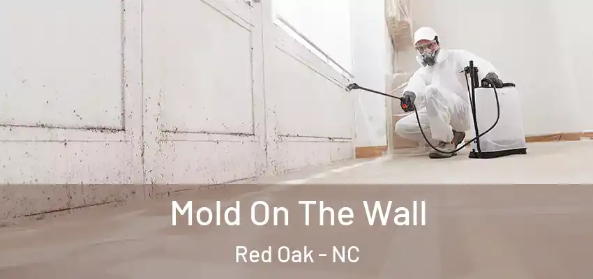  Mold On The Wall Red Oak - NC