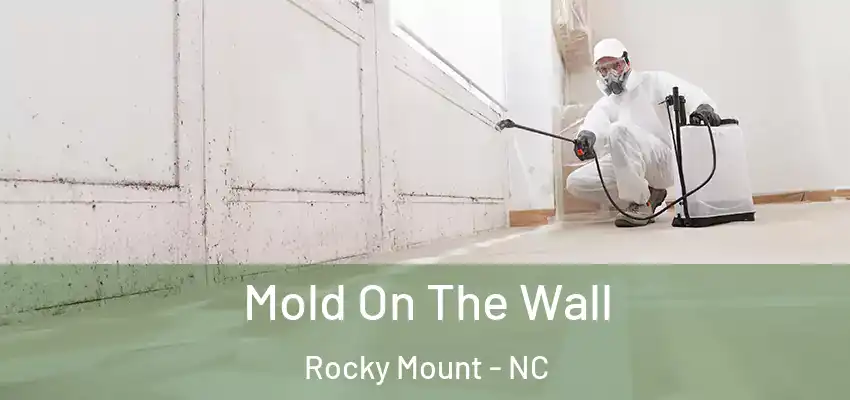 Mold On The Wall Rocky Mount - NC