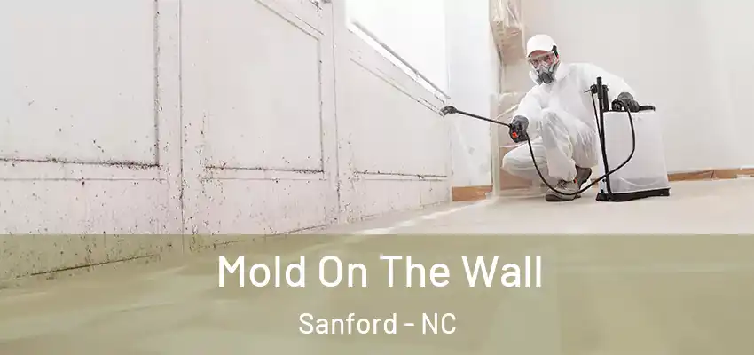  Mold On The Wall Sanford - NC