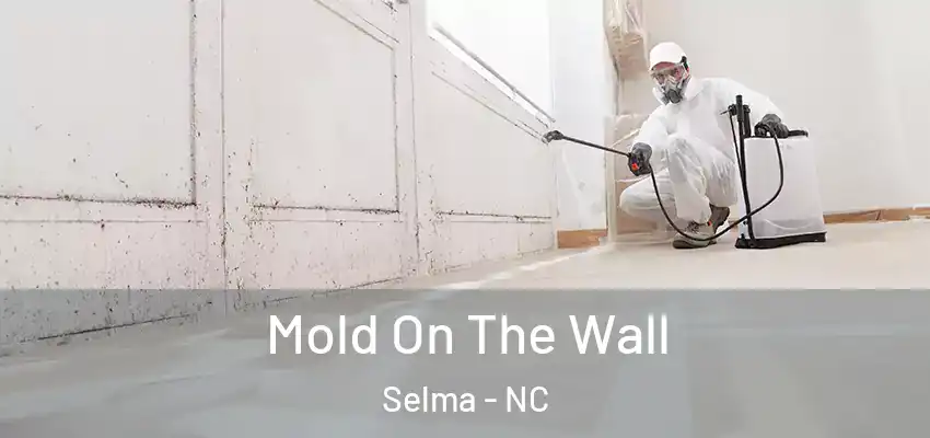 Mold On The Wall Selma - NC
