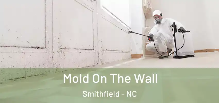 Mold On The Wall Smithfield - NC