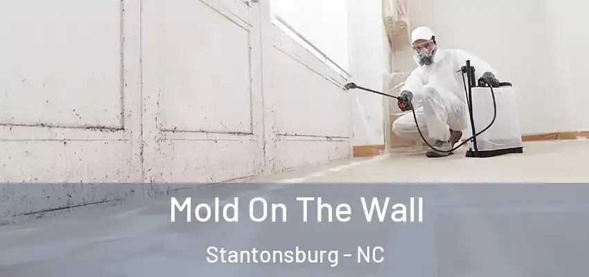  Mold On The Wall Stantonsburg - NC