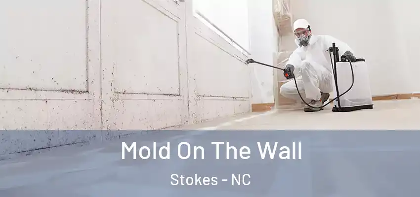 Mold On The Wall Stokes - NC