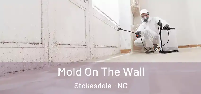 Mold On The Wall Stokesdale - NC