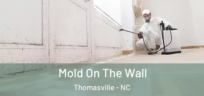  Mold On The Wall Thomasville - NC
