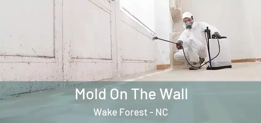 Mold On The Wall Wake Forest - NC