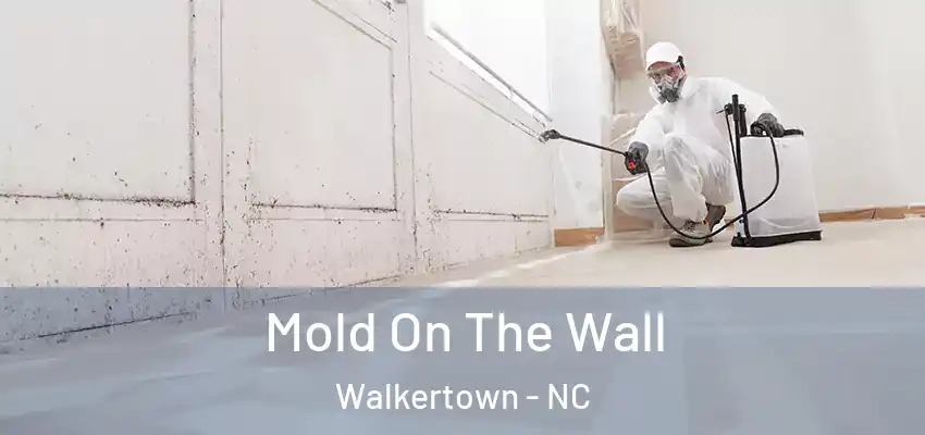  Mold On The Wall Walkertown - NC