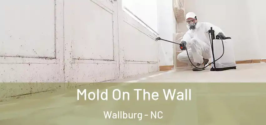  Mold On The Wall Wallburg - NC