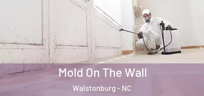 Mold On The Wall Walstonburg - NC