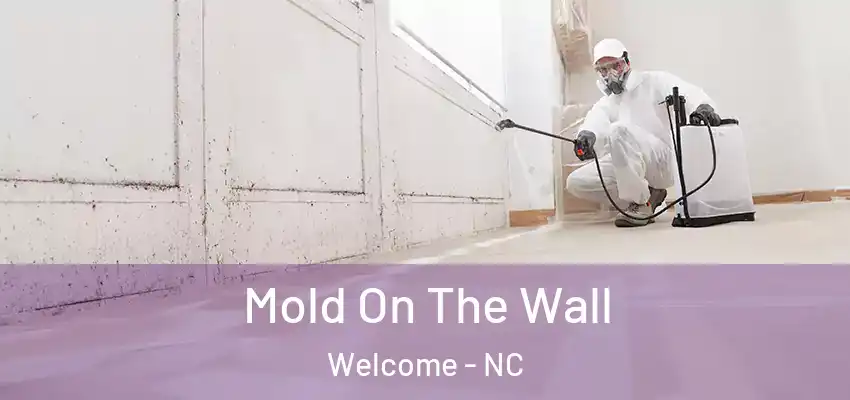 Mold On The Wall Welcome - NC