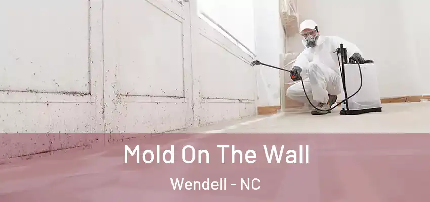  Mold On The Wall Wendell - NC