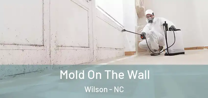 Mold On The Wall Wilson - NC