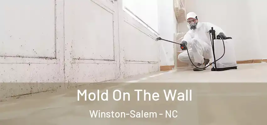  Mold On The Wall Winston-Salem - NC