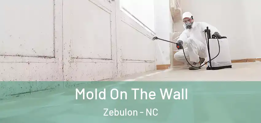 Mold On The Wall Zebulon - NC