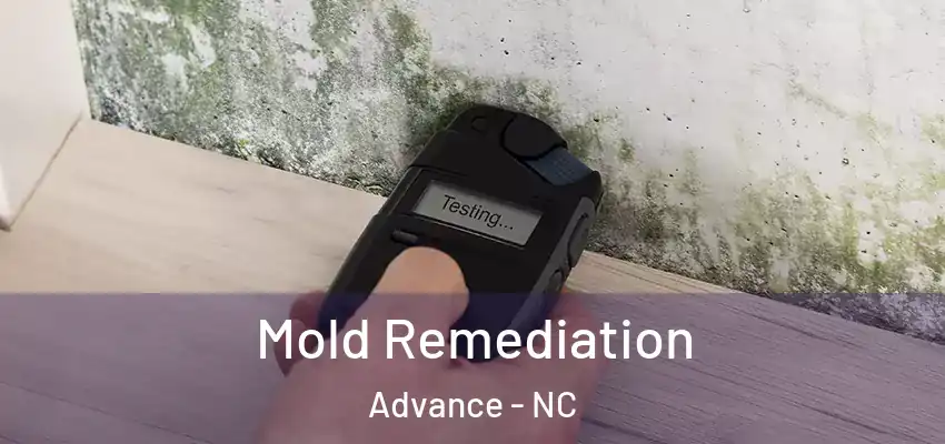  Mold Remediation Advance - NC
