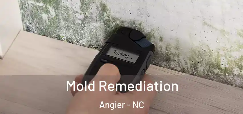  Mold Remediation Angier - NC
