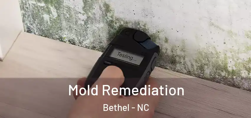  Mold Remediation Bethel - NC