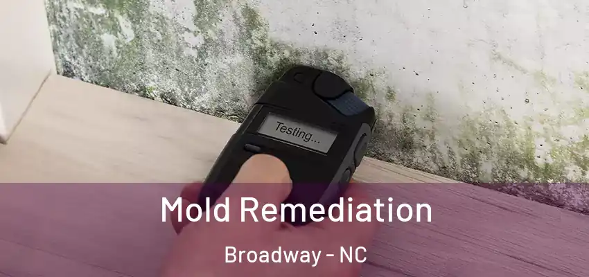  Mold Remediation Broadway - NC