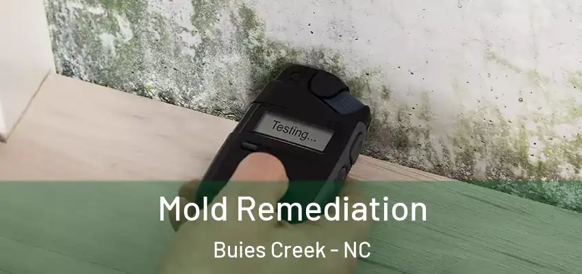  Mold Remediation Buies Creek - NC