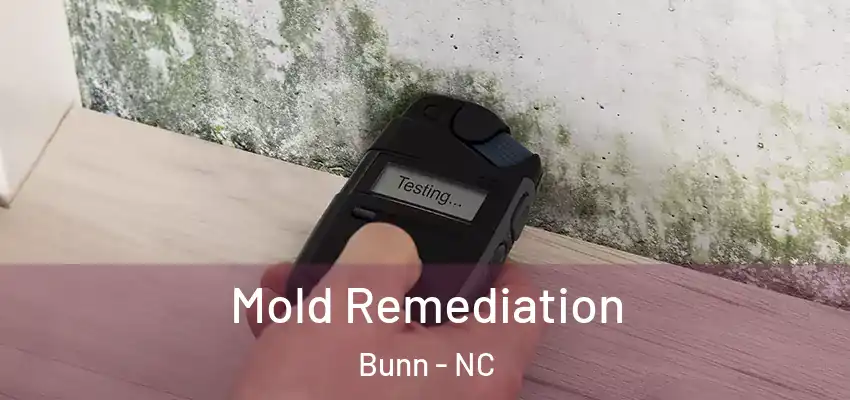  Mold Remediation Bunn - NC
