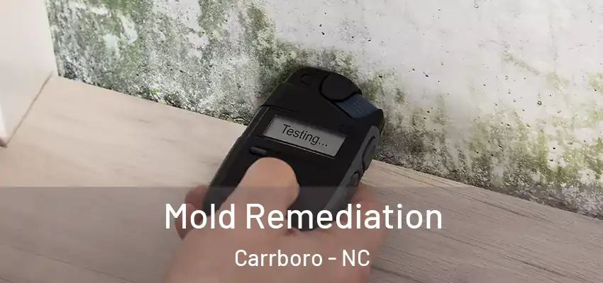  Mold Remediation Carrboro - NC