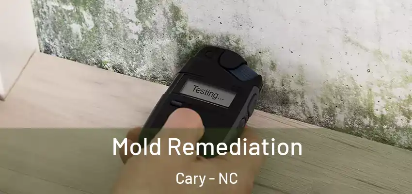  Mold Remediation Cary - NC