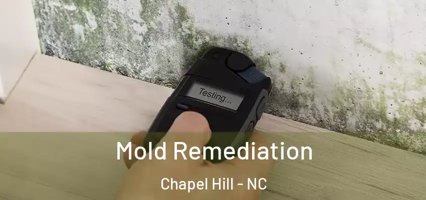 Mold Remediation Chapel Hill - NC