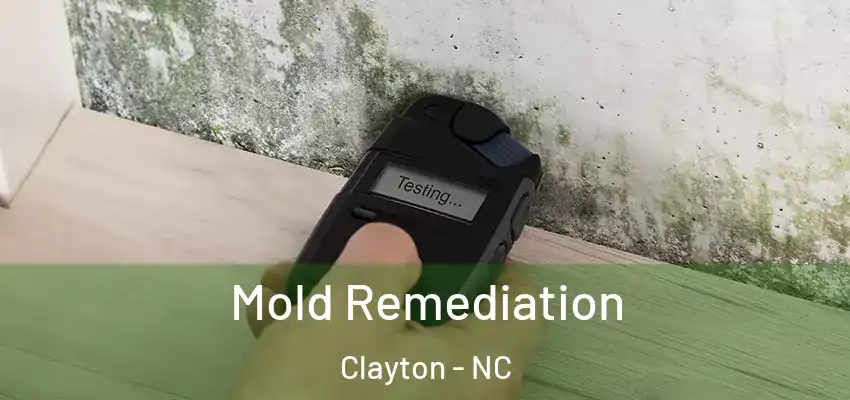  Mold Remediation Clayton - NC