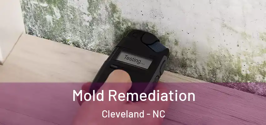 Mold Remediation Cleveland - NC