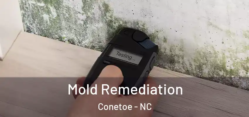  Mold Remediation Conetoe - NC