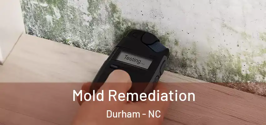 Mold Remediation Durham - NC