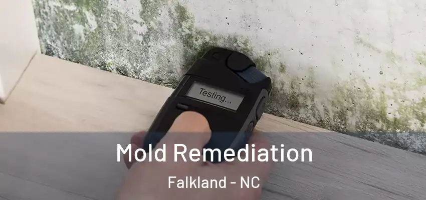  Mold Remediation Falkland - NC