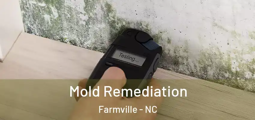  Mold Remediation Farmville - NC