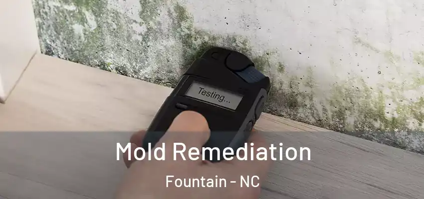 Mold Remediation Fountain - NC