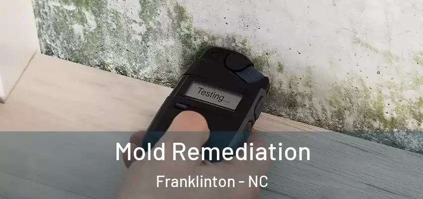  Mold Remediation Franklinton - NC