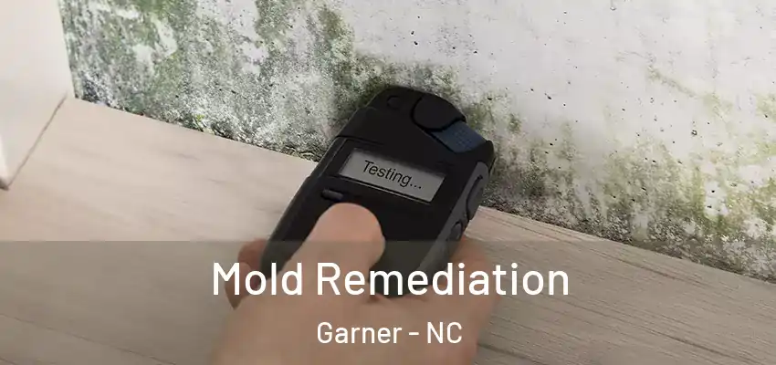  Mold Remediation Garner - NC