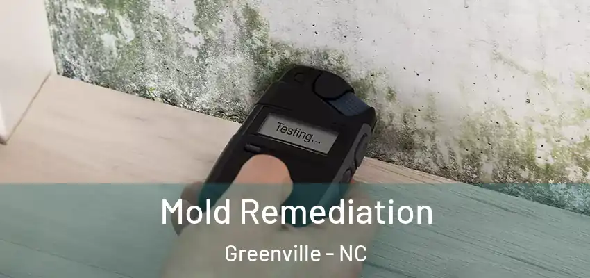  Mold Remediation Greenville - NC