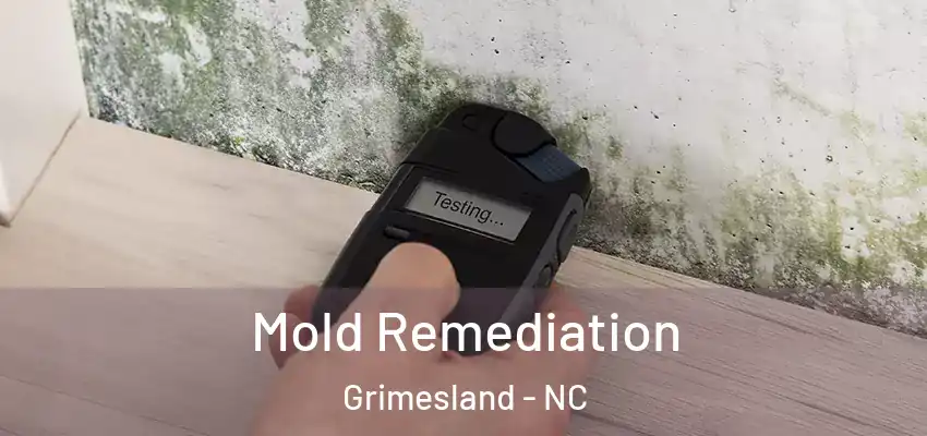  Mold Remediation Grimesland - NC