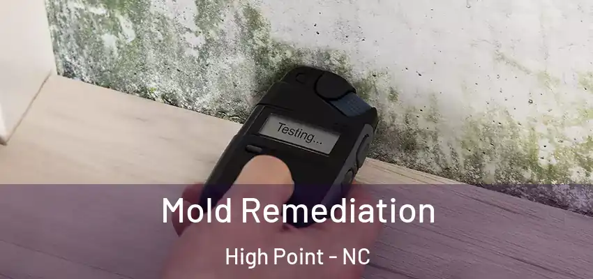  Mold Remediation High Point - NC