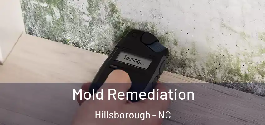  Mold Remediation Hillsborough - NC