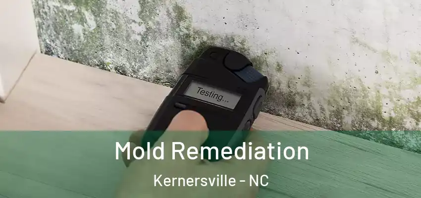 Mold Remediation Kernersville - NC