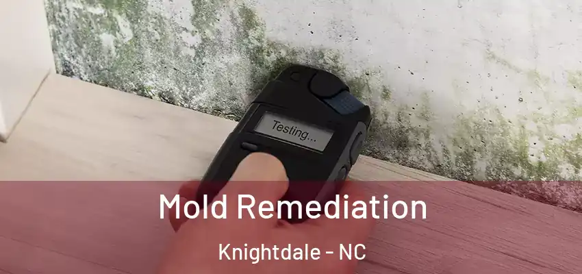  Mold Remediation Knightdale - NC