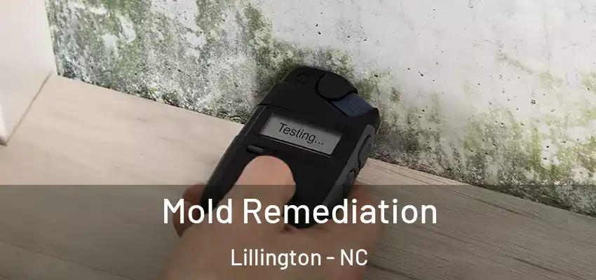 Mold Remediation Lillington - NC