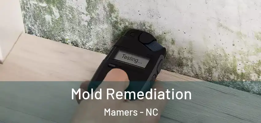  Mold Remediation Mamers - NC