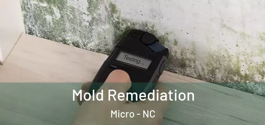 Mold Remediation Micro - NC