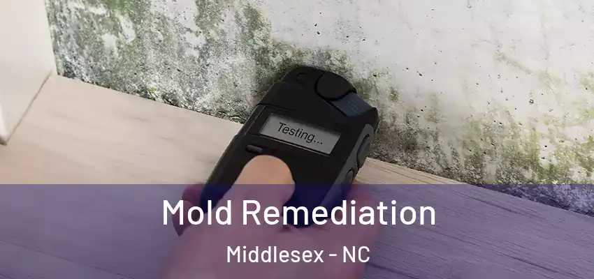 Mold Remediation Middlesex - NC