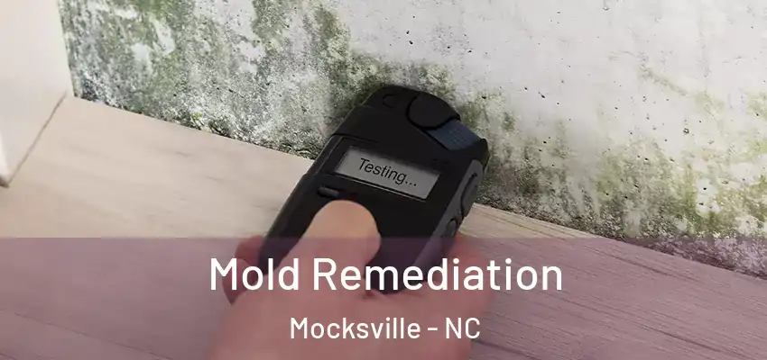  Mold Remediation Mocksville - NC