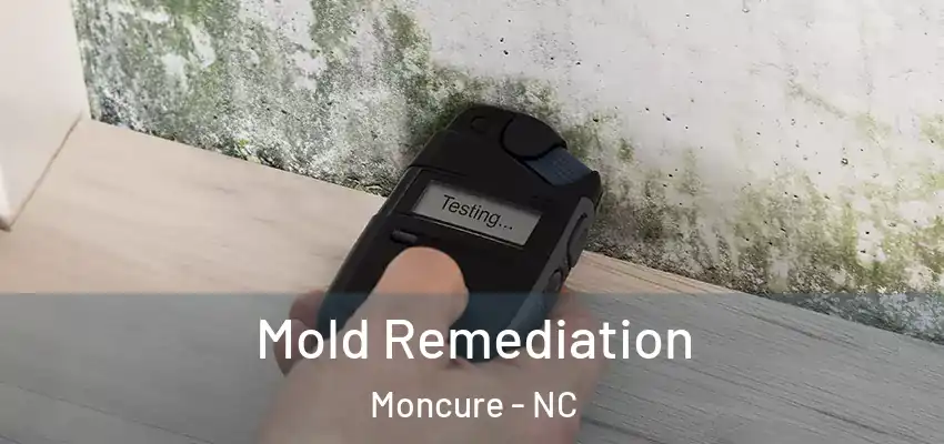  Mold Remediation Moncure - NC